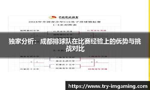 独家分析：成都排球队在比赛经验上的优势与挑战对比